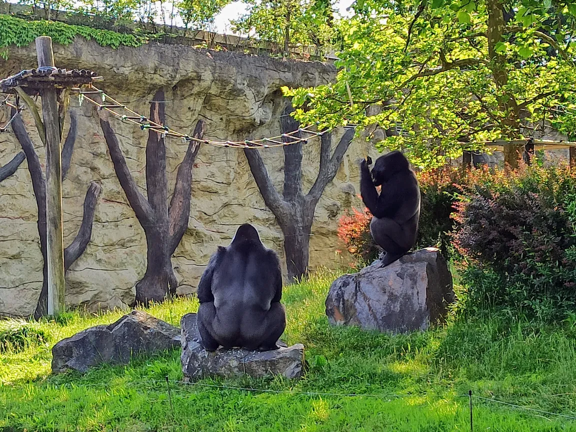 Zoo Opole