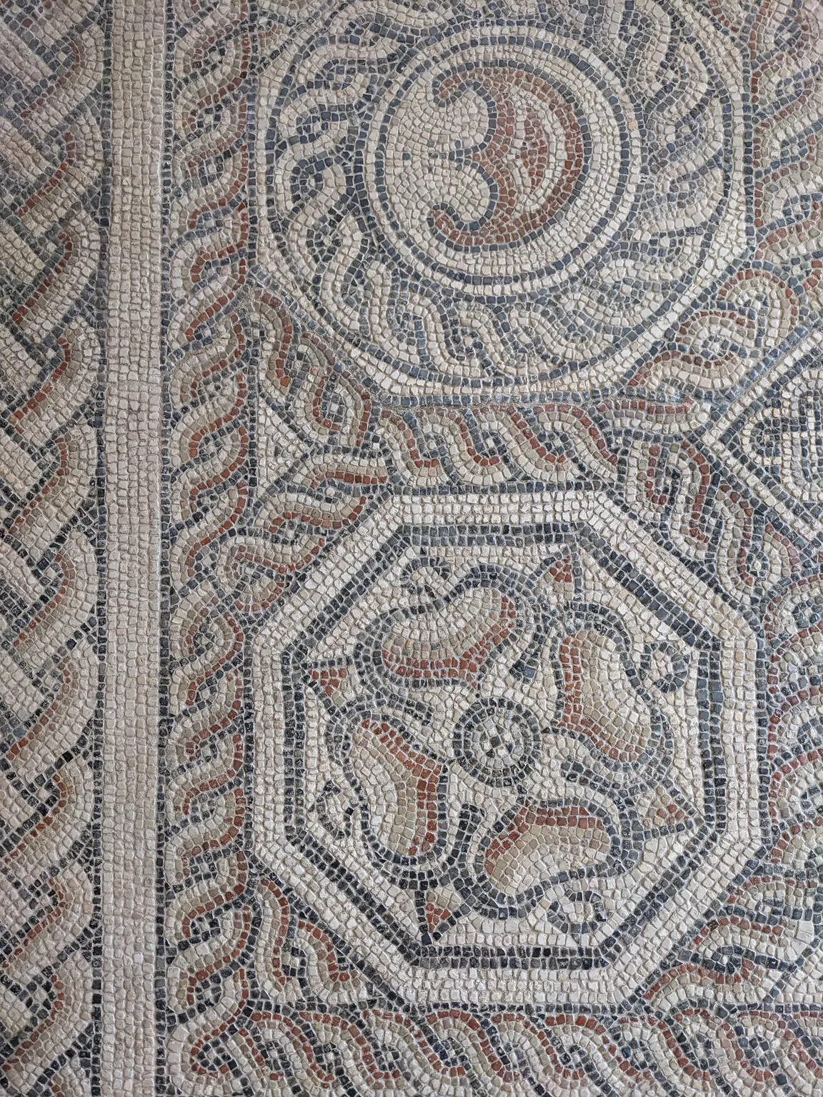 Corinium Museum