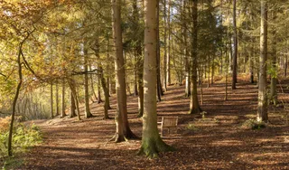 Rushmere Country Park