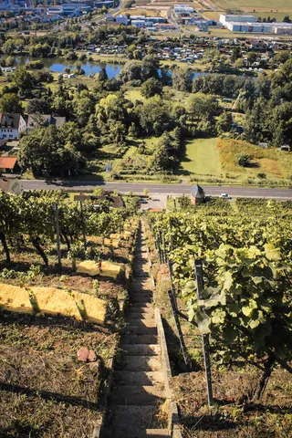 Weingut Steintal