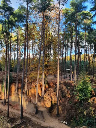Woburn Trails