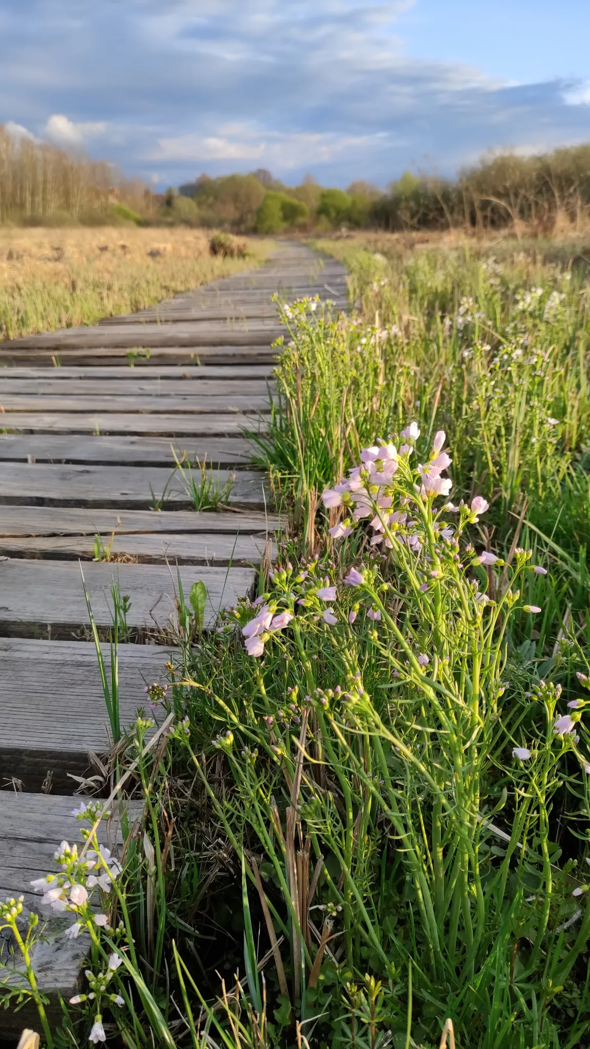 Ścieżka Przyrodniczo-Edukacyjna