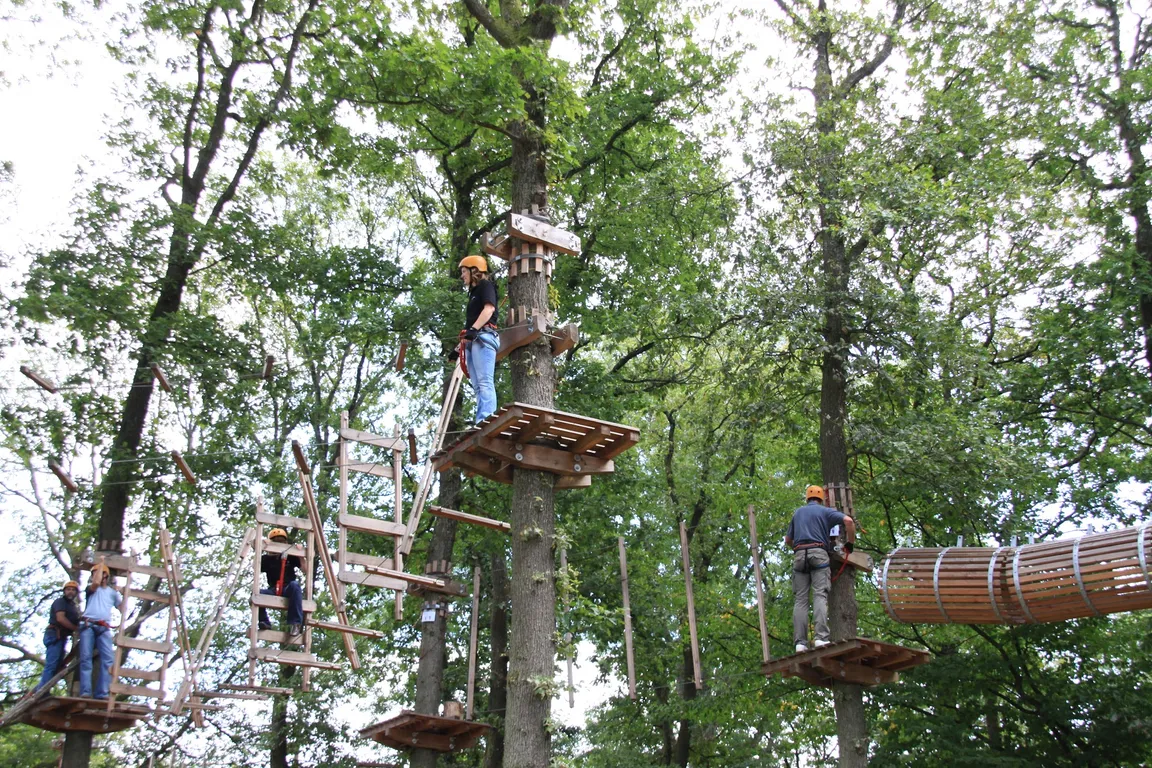 Mosel Adventure Forest