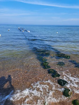 Sarbinowo, plaża