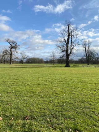 Blenheim Park