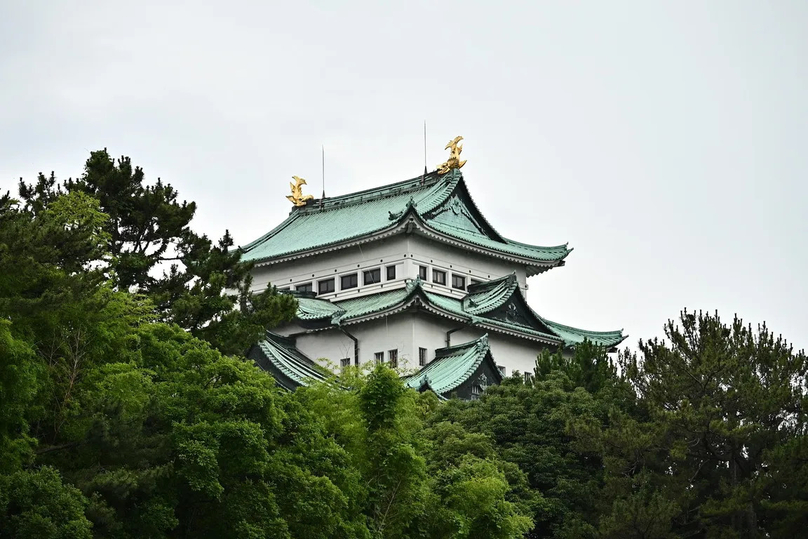森の広場