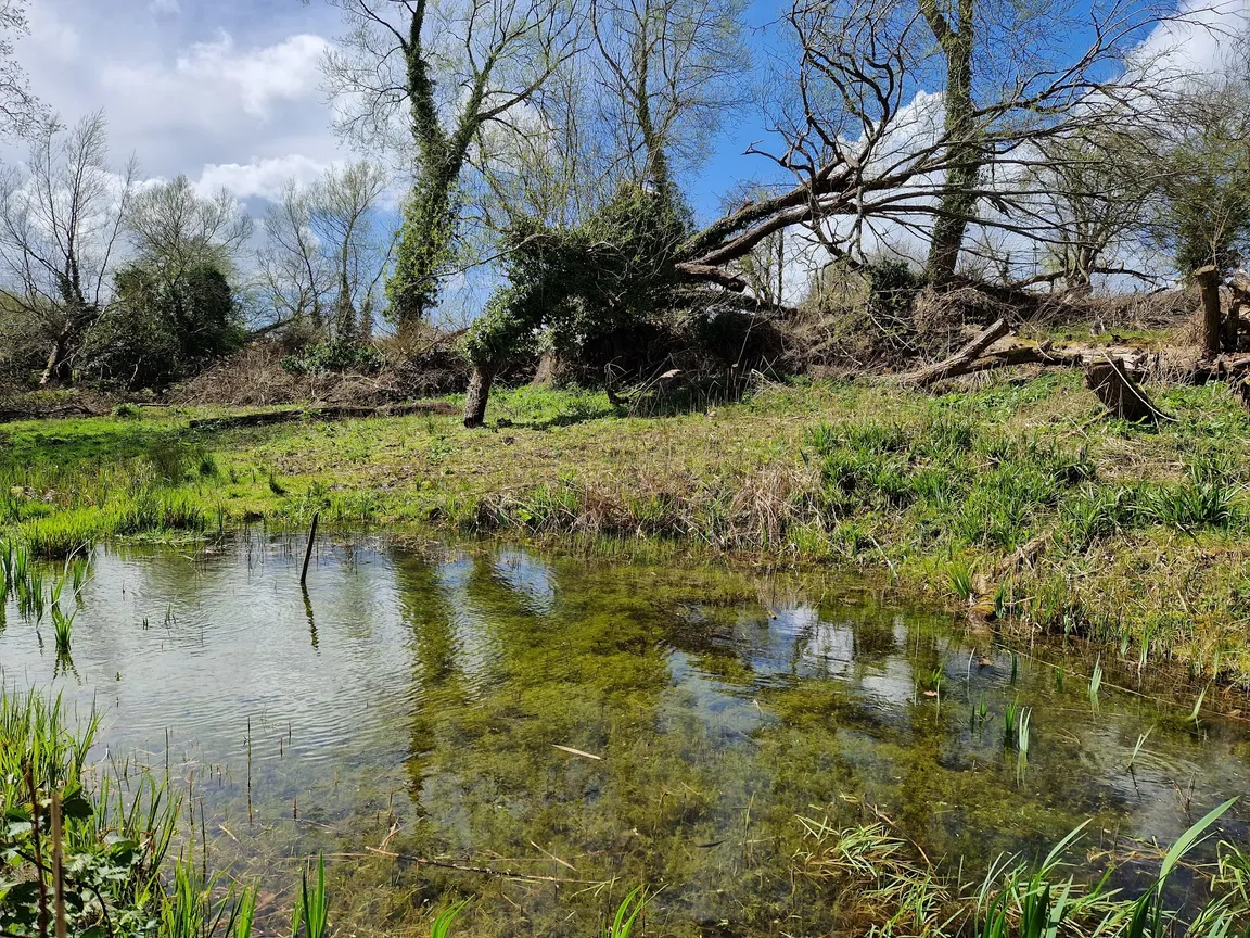 Lye Valley path