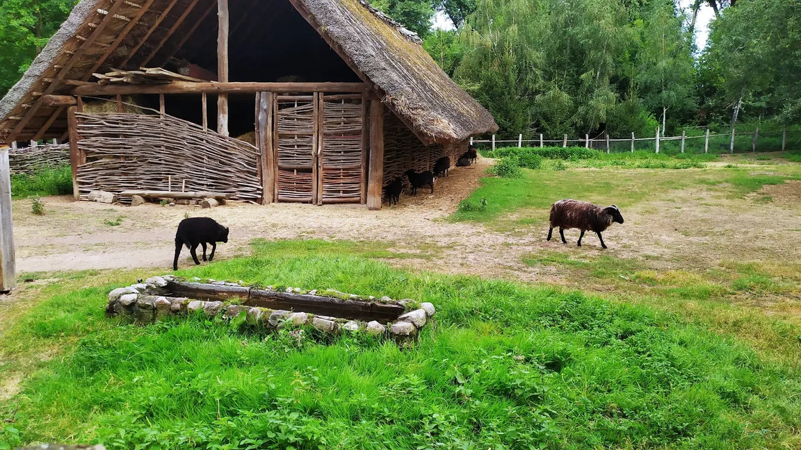 Muzeum Archeologiczne w Biskupinie
