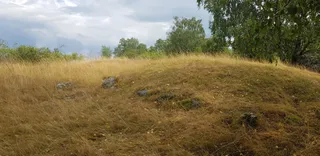 Björkö-Birka (Island in Lake Mälaren with remnants of the former trading town Birka)