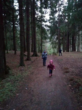 Rope park