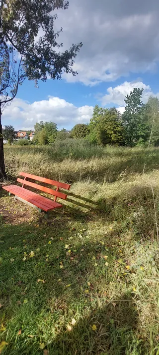 Wasserburger Bucht Nature Reserve