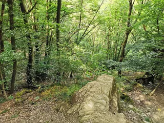 Walderlebnis HUNSRUECK