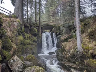 Geißenpfad Menzenschwand