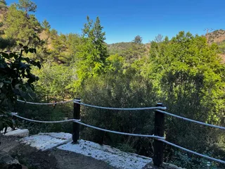 bosco paradiso