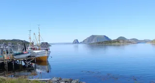 Nordkapp birdsafari