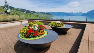 Les vignes de Lavaux