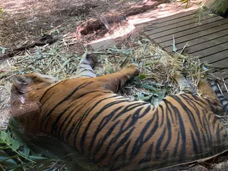 Taronga Zoo