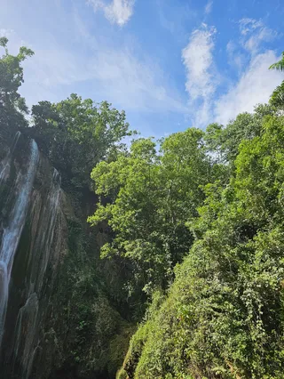 Salto El Limon Waterfalls Experience - Local Guides (Family Owned Business )