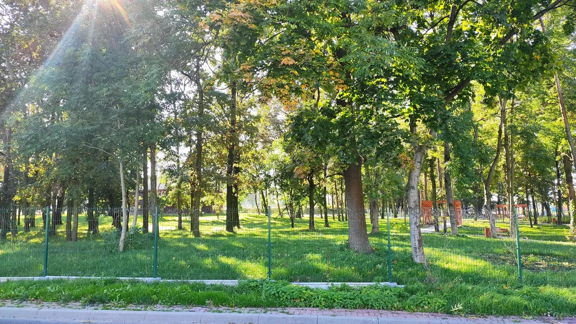 Park linowy