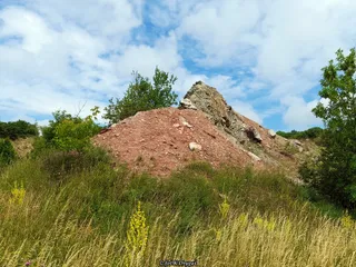 Rezerwat Przyrody Wietrznia im. Zbigniewa Rubinowskiego