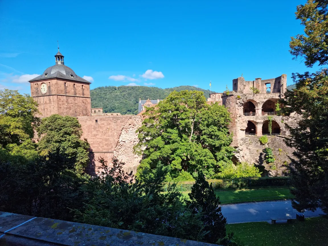 Zamek w Heidelbergu