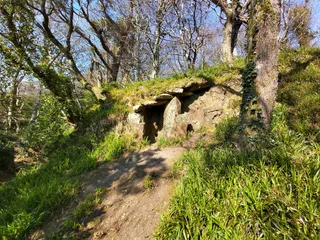 Glen of the Downs Nature Trail