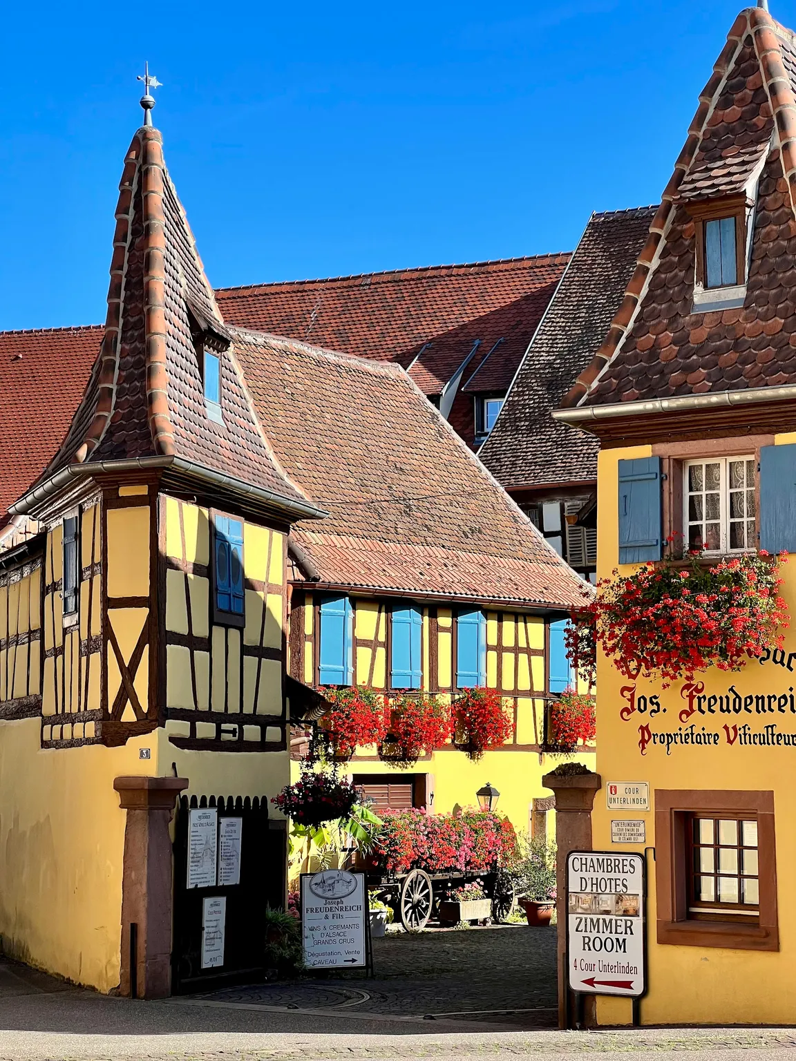 Domaine Emile Beyer - Vins d'Alsace