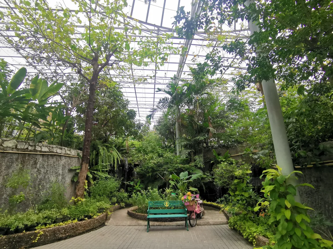 Bangkok Butterfly Garden and Insectarium