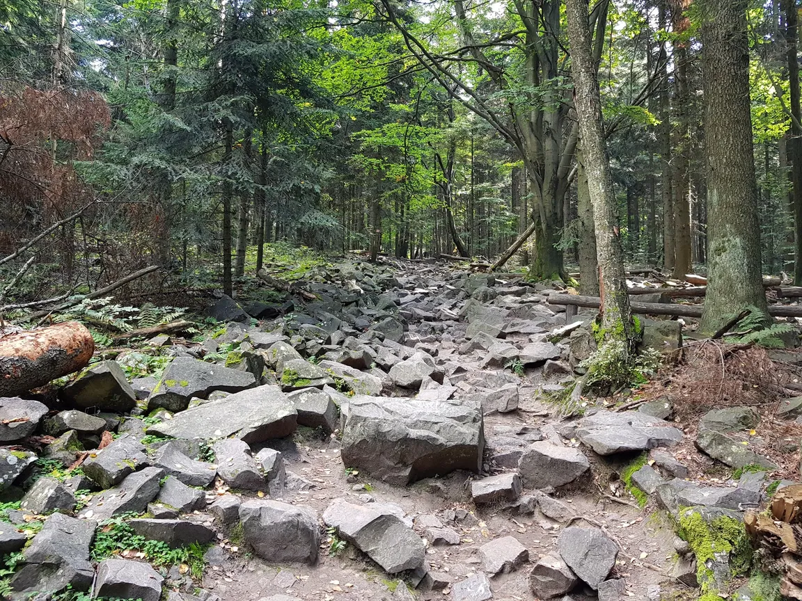 Świętokrzyski Park Narodowy