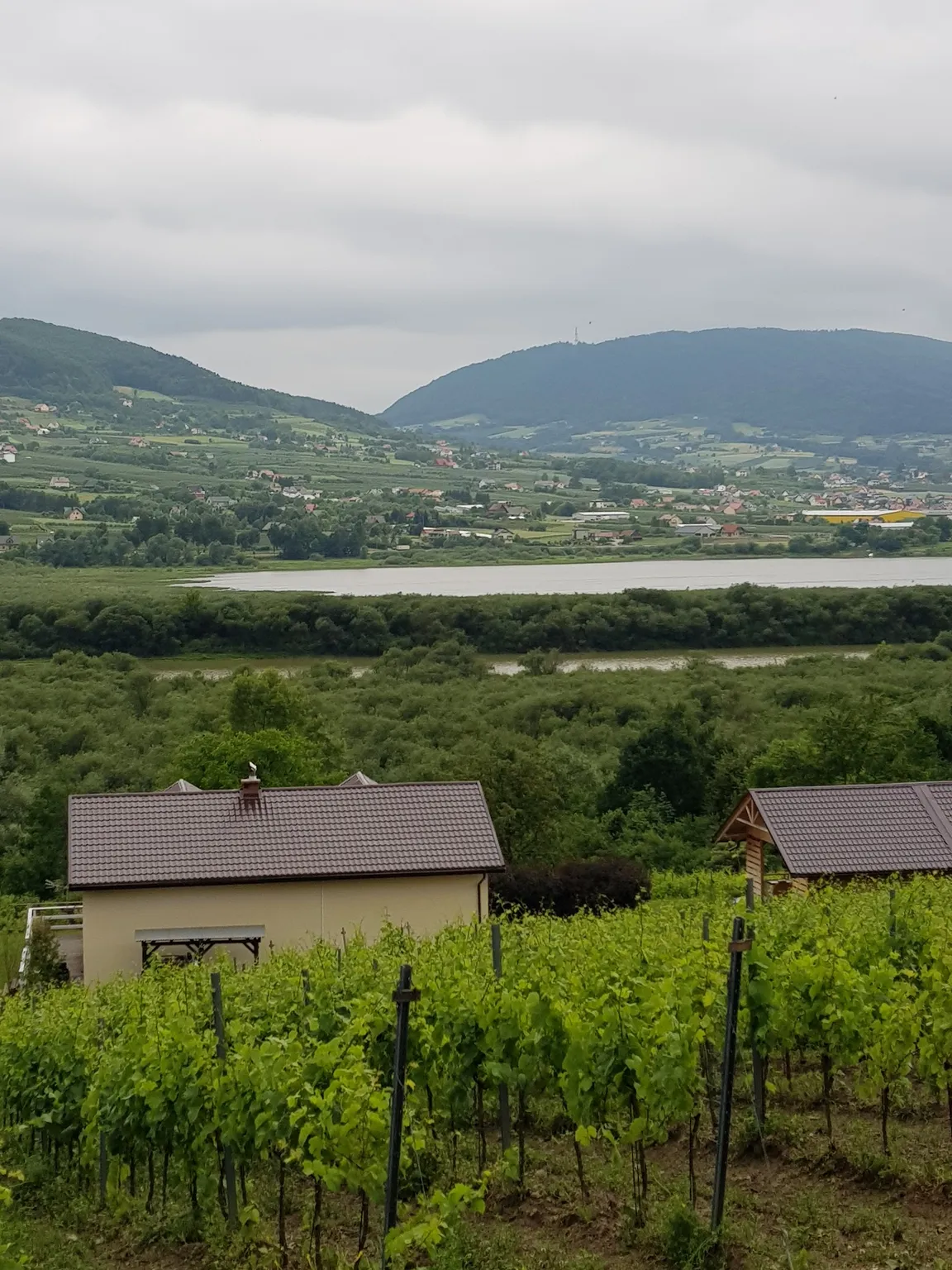 Winnica Gródek