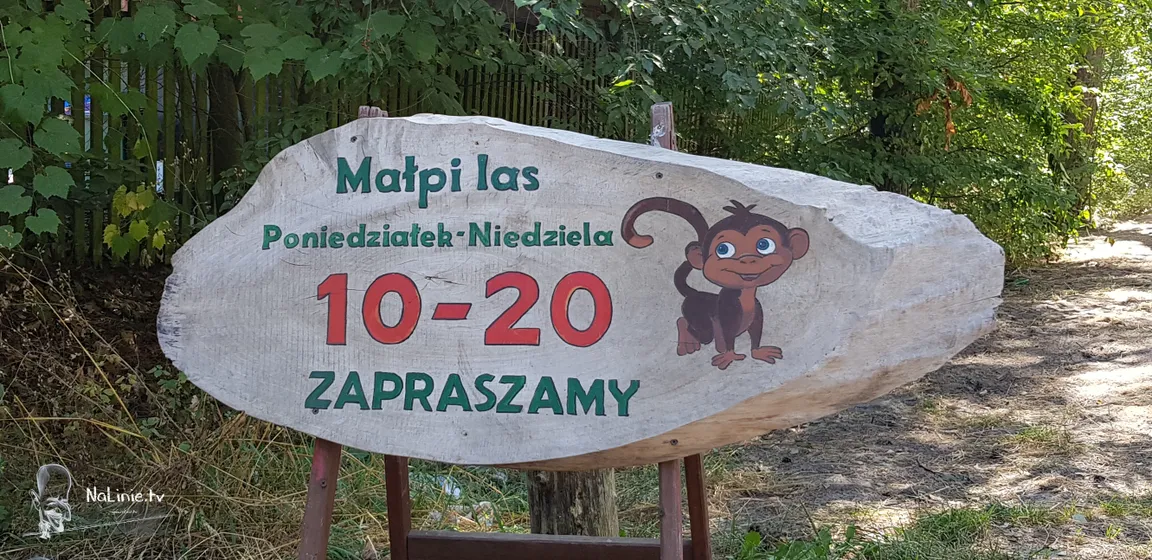 Park linowy Małpi Las