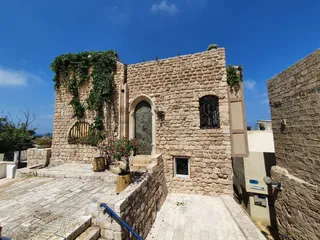 נמל יפו