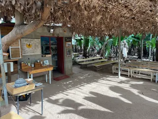 Finca Las Margaritas Banana Experience
