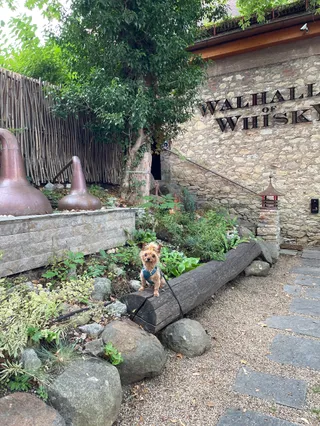 Walhalla of Whisky