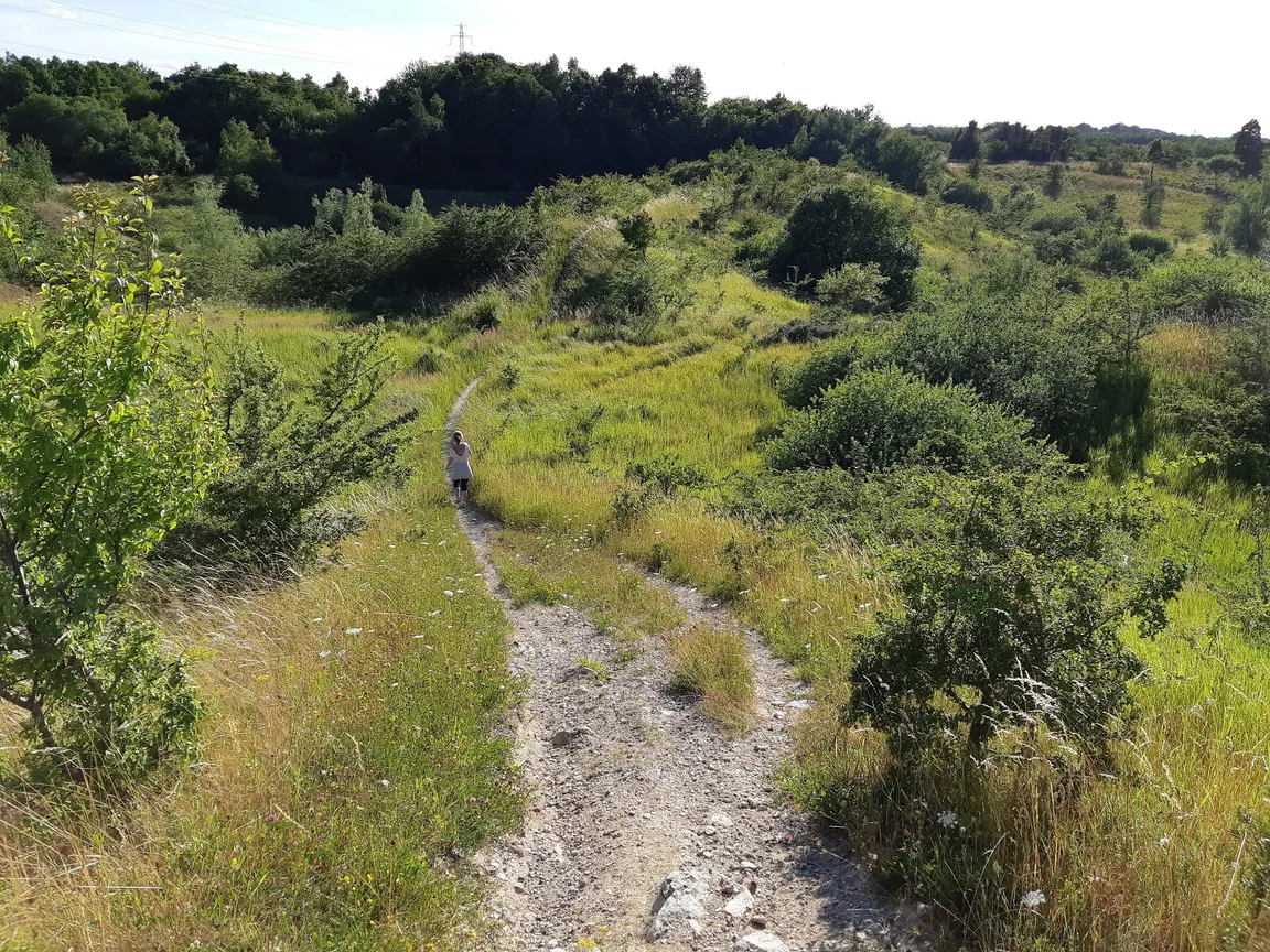 Hedeland Naturtrail