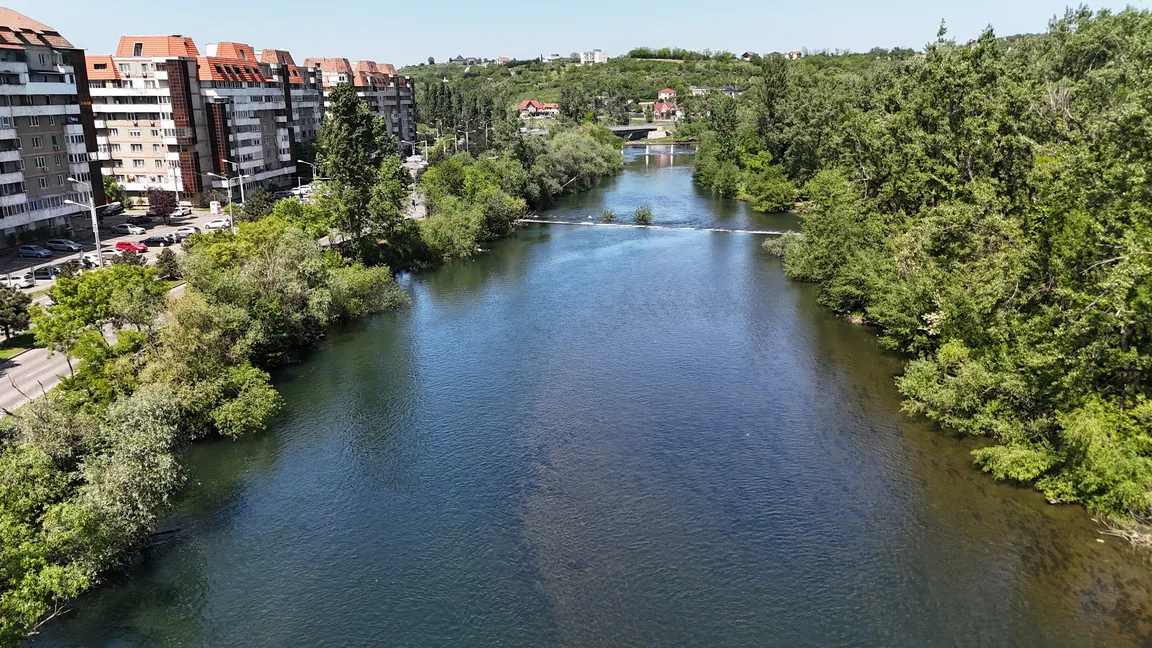 Silvas Park