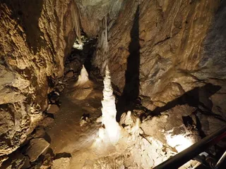 Jaskinia Niedźwiedzia
