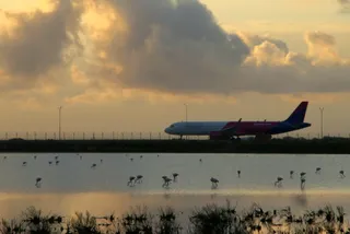 Salt lake_ flamingo route