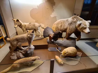 Natural History Museum Mainz