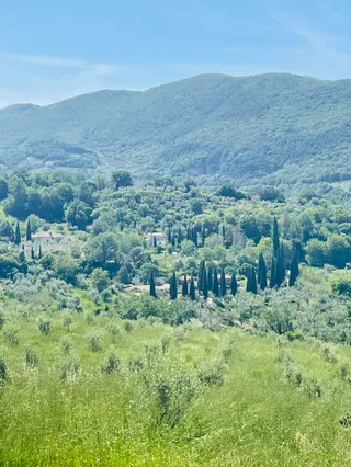 Convivio Rome Cooking Classes, Virtual Live Italian Cooking Classes and Culinary Vacations