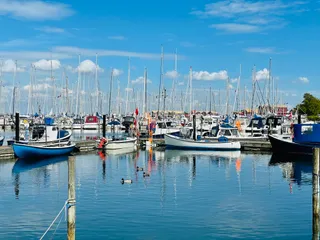 Nivå harbour