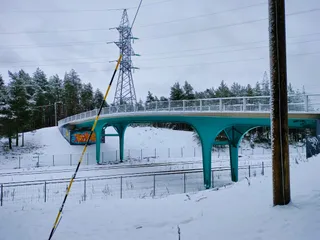 Järve mets