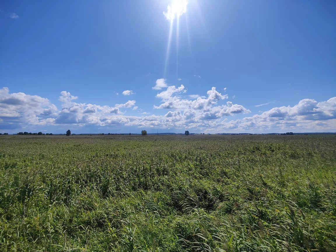 Waniewo - Kładka