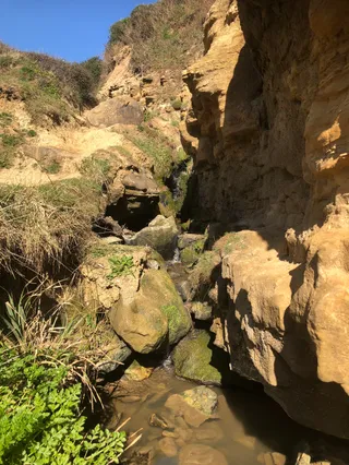 Ecclesbourne Glen