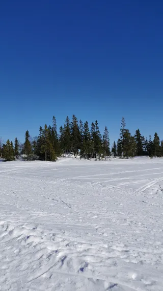 Lyngbråten