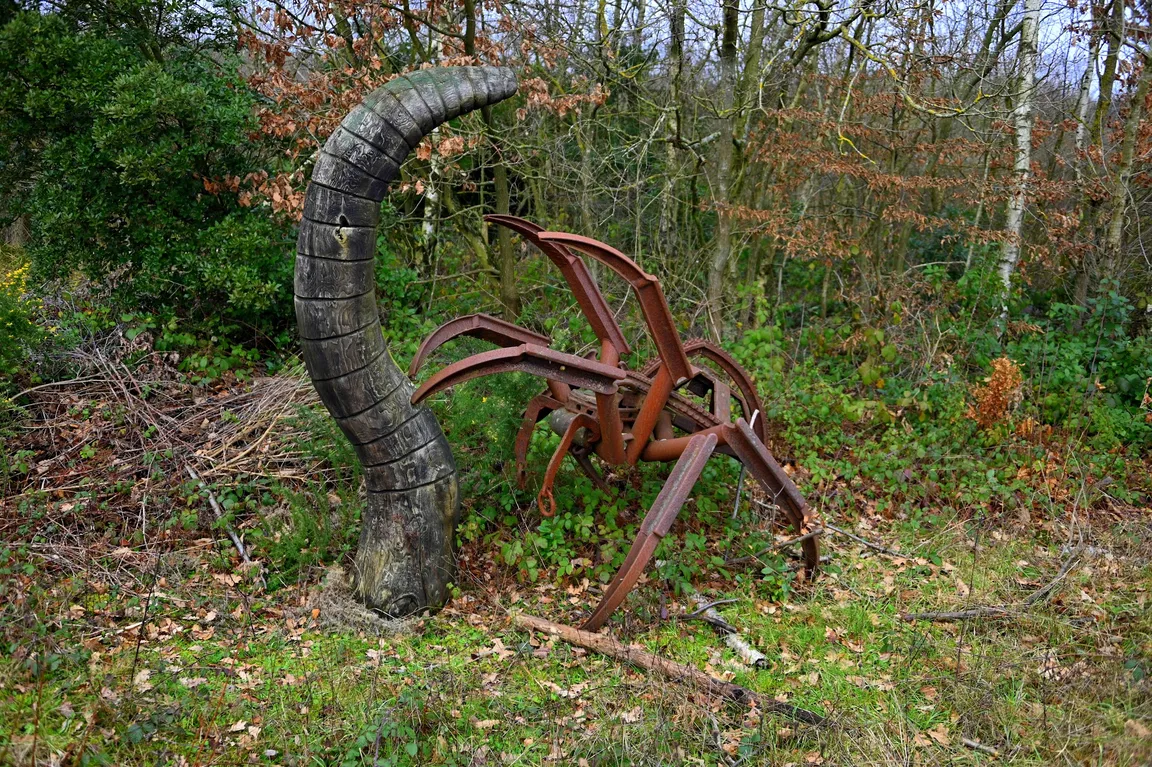 Shorne Woods Country Park