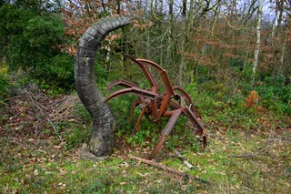 Shorne Woods Country Park