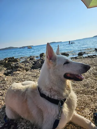 Bi Dog beach