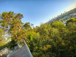 Eildon Hill Reserve