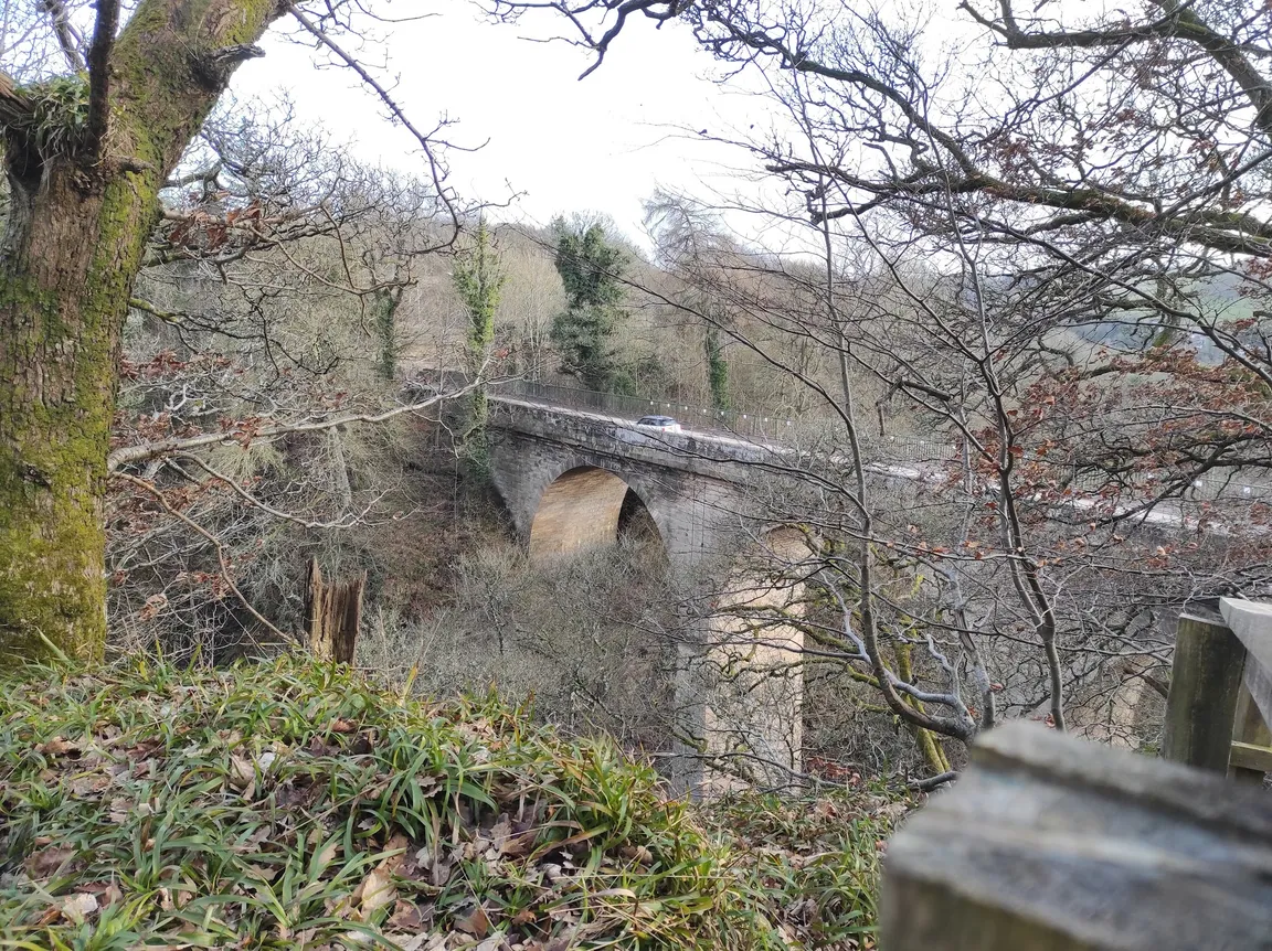 Clyde Valley Woodlands National Nature Reserve (Cartland Crags)